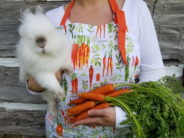 Lionhead Rabbit with Carrots