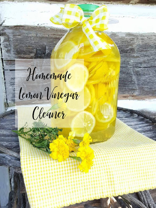 Homemade Lemon Vinegar Cleaner