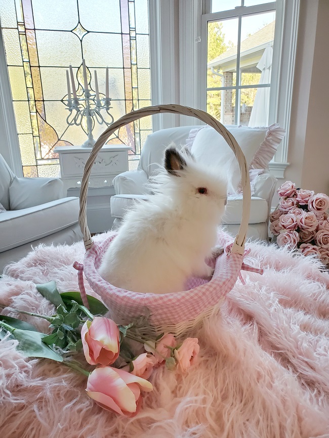 A white rabbit sitting in an Easter basket, surrounded by pink flowers