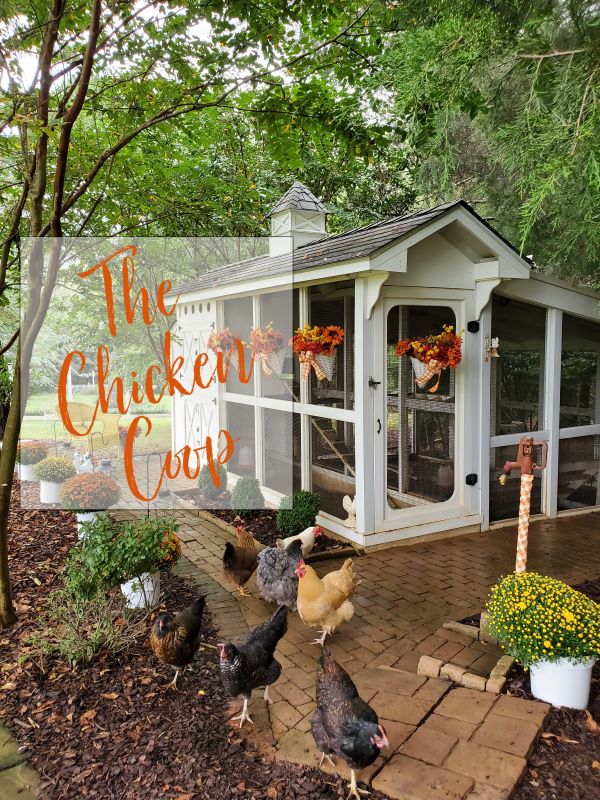 The Chicken Coop at Happy Days Farm