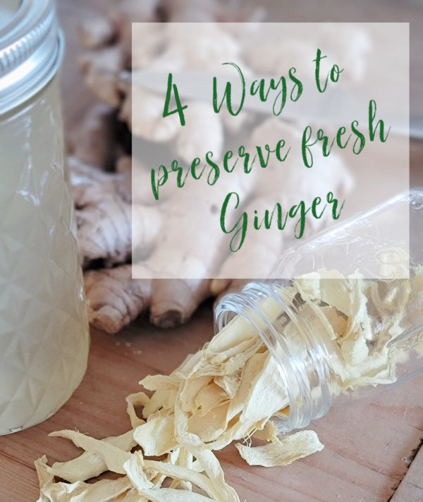 4 Ways To Preserve Ginger