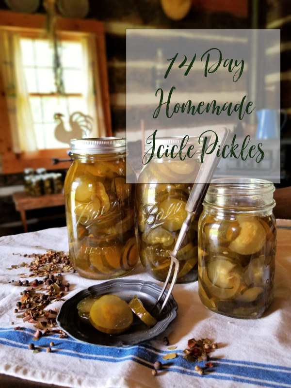 Homemade 14 Day Icicle Pickles